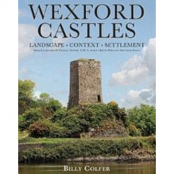 Wexford Castles: Environment, Settlement and Society