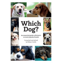 Which Dog