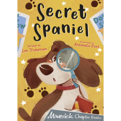 Secret Spaniel: (Grey Chapter Reader)