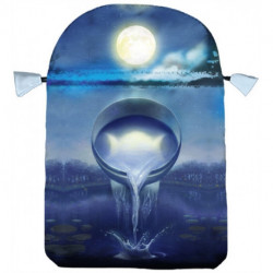 Silver Witchcraft Tarot Bag: Tarot Bag