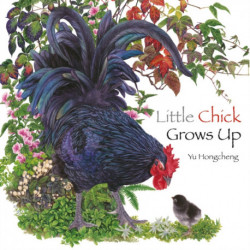 Little Chick Grows Up