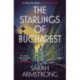 The Starlings of Bucharest