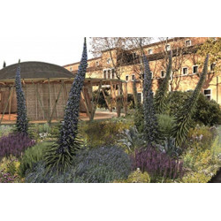 The Majlis: A Meeting Place: A Meeting Place