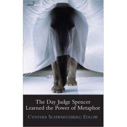 The Day Judge Spencer Learned the Power of Metaphor