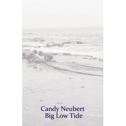 Big Low Tide