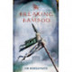 Breaking Bamboo