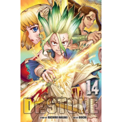 Dr. STONE, Vol. 14: Medusa's True Face
