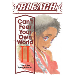 Bleach: Can't Fear Your Own World, Vol. 2