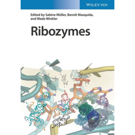 Ribozymes, 2 Volume Set: Principles, Methods, Applications