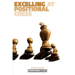 Excelling at Positional Chess: