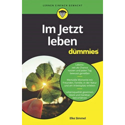 Im Jetzt leben fur Dummies