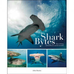 Shark Bytes: Tales of Diving with the Bizarre and the Beautiful