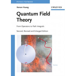 Quantum Field Theory: From Operators to Path Integrals