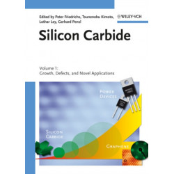 Silicon Carbide, 2 Volume Set: Two Volume Set