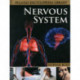 Nervous System