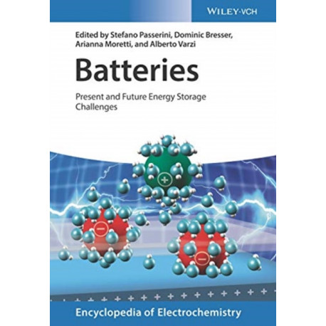 Batteries, 2 Volumes: Present and Future Energy Storage Challenges