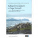 Cultural Encounters at Cape Farewell: The East Greenlandic Immigrants and the German Moravian Mission in the 19th century