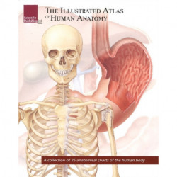 Illustrated Atlas of Human Anatomy: A Collection of 25 Anatomical Charts of the Human Body