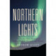 Northern Lights: The Positive Policy Example of Sweden, Finland, Denmark and Norway