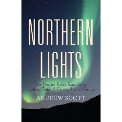 Northern Lights: The Positive Policy Example of Sweden, Finland, Denmark and Norway