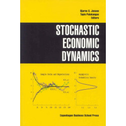 Stochastic Economic Dynamics