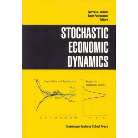 Stochastic Economic Dynamics
