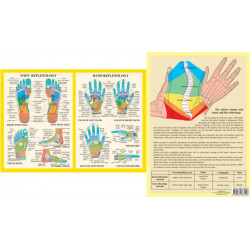 Hand & Foot Reflexology -- A4
