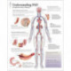 Understanding PAD Laminated Poster