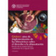 Fifteen Years Implementing the Right to Food Guidelines (Spanish Edition): Reviewing Progress to Achieve the 2030 Agenda