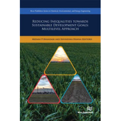 Reducing Inequalities Towards Sustainable Development Goals: Multilevel Approach