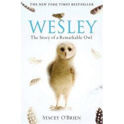 Wesley: The Story of a Remarkable Owl