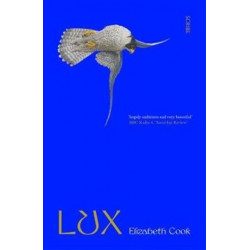 Lux: a novel