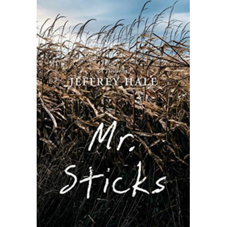 Mr. Sticks