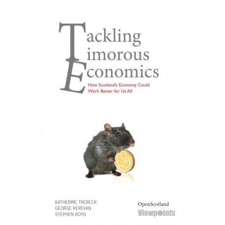 Tackling Timorous Economics: How Scotland's Economy Could Work