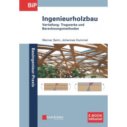 Ingenieurholzbau: Vertiefung: Tragwerke und Berechnungsmethoden