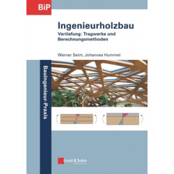 Ingenieurholzbau: Vertiefung: Tragwerke und Berechnungsmethoden
