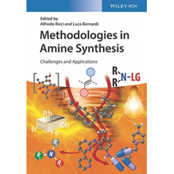 Methodologies in Amine Synthesis: Challenges and Applications
