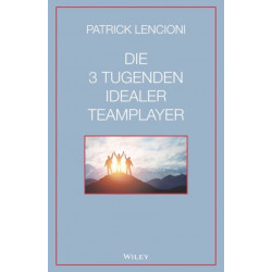 Die 3 Tugenden idealer Teamplayer