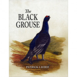 The Black Grouse