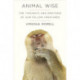 Animal Wise: The Thoughts and Emotions of Animals