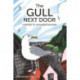 The Gull Next Door: A Portrait of a Misunderstood Bird