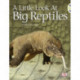 Bug Club Non-fiction Blue (KS1) B/1B A Little Look of Reptiles 6-pack
