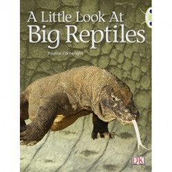 Bug Club Non-fiction Blue (KS1) B/1B A Little Look of Reptiles 6-pack