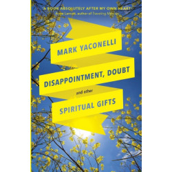 Disappointment, Doubt and Other Spiritual Gifts: Reflections On Life And Ministry