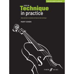 Violin Technique in Practice