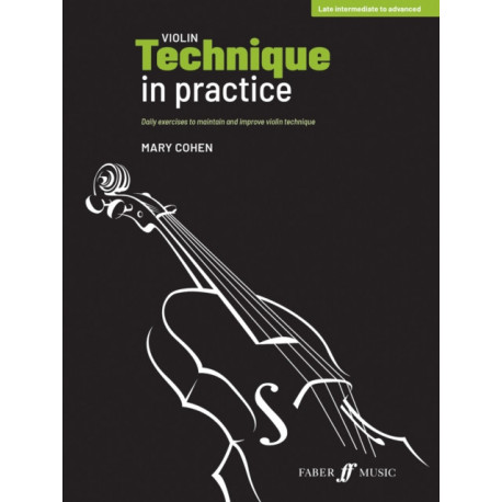 Violin Technique in Practice