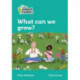 What can we grow?: Level 3