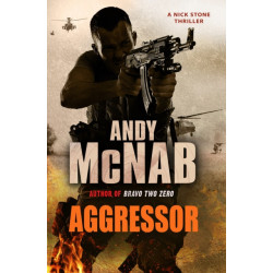 Aggressor: (Nick Stone Thriller 8)