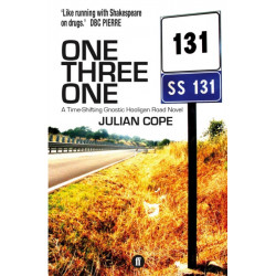 One Three One: A Time-Shifting Gnostic Hooligan Road Novel