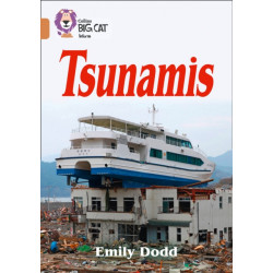 Tsunamis: Band 12/Copper
